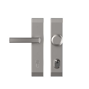 Szyld BERGEN TD200/90, klamka - gałka Alex grubość 60 mm z ochroną wkładki, anoda srebrna/srebrna, pudełko