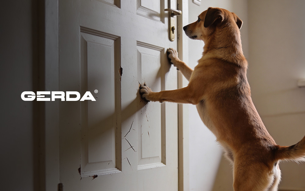 Jak zabezpieczyć drzwi przed psem lub kotem? Ochrona przed zadrapaniami.